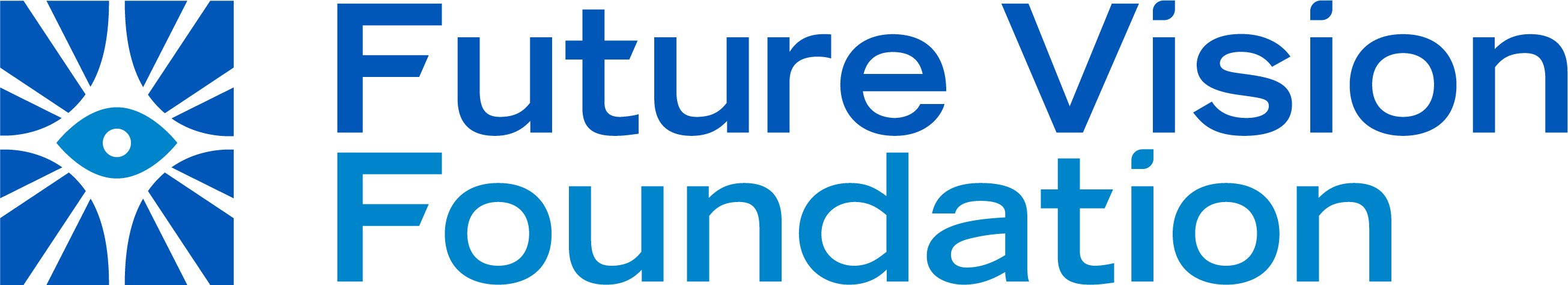 Future Vision Foundation